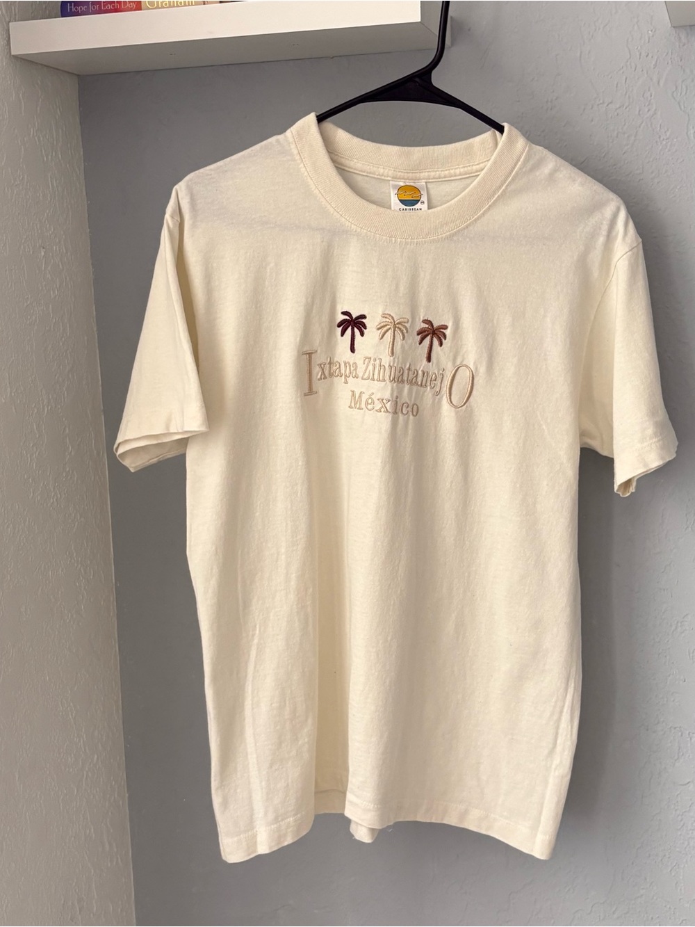 Mexico Palm Embroidered Tee - Cream